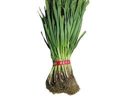 풋마늘 약1.5Kg 1단[봉]