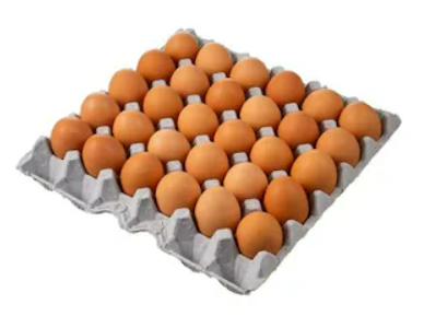 계란(대란/52g*30입) 1.56kg(1판)