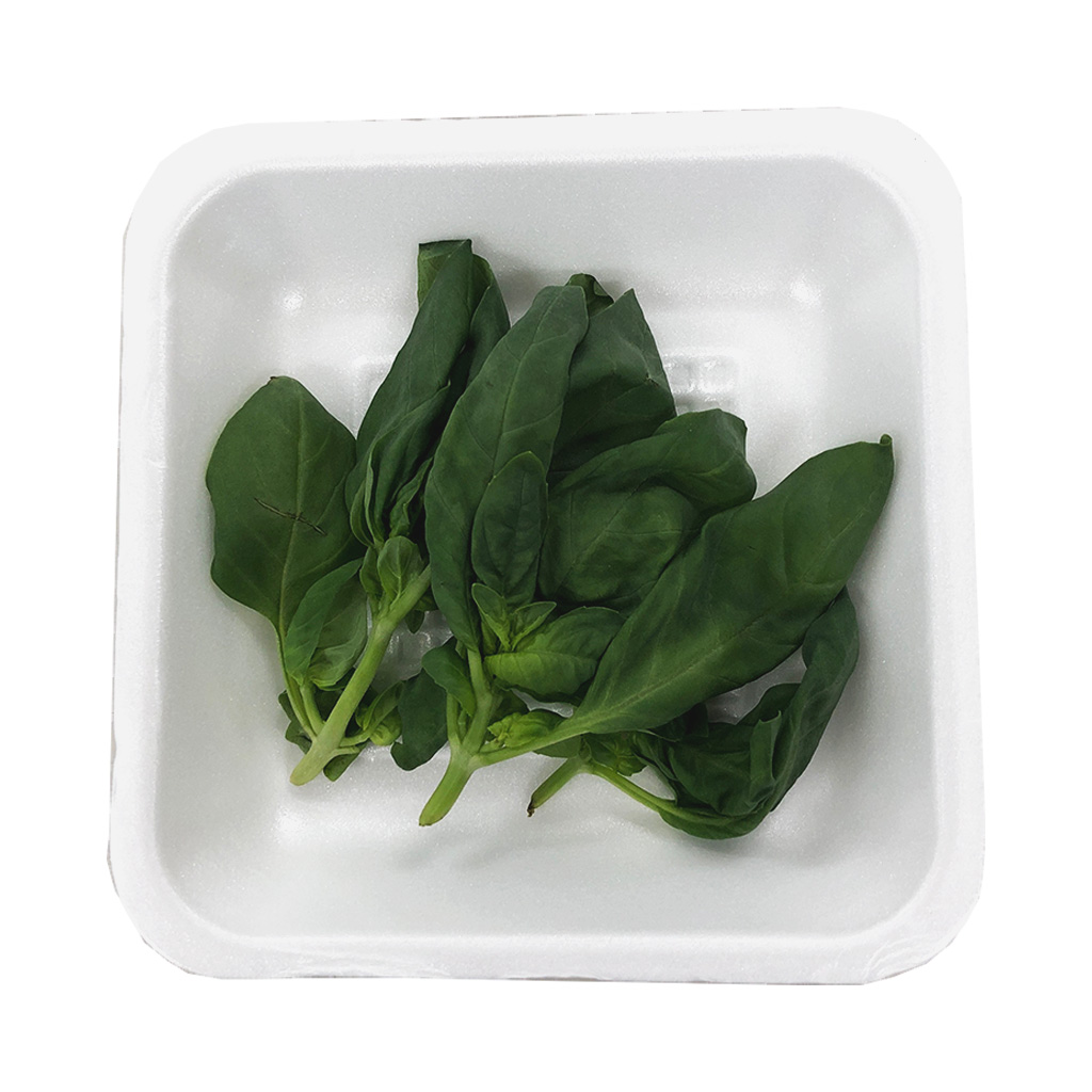 허브 바질 약 5g 내외[팩]