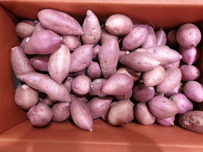 밤고구마(소) 10kg[BOX]