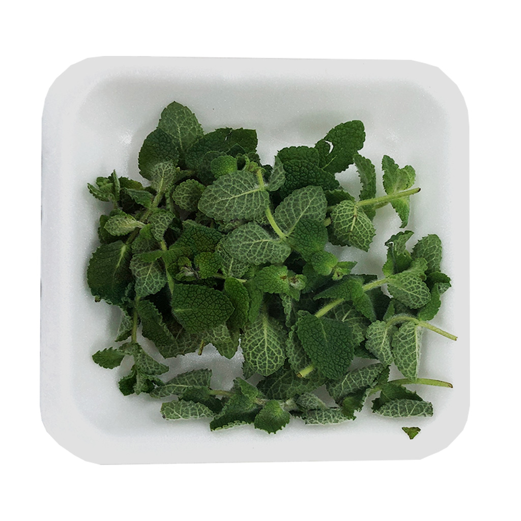 허브 애플민트 약 5g[팩]