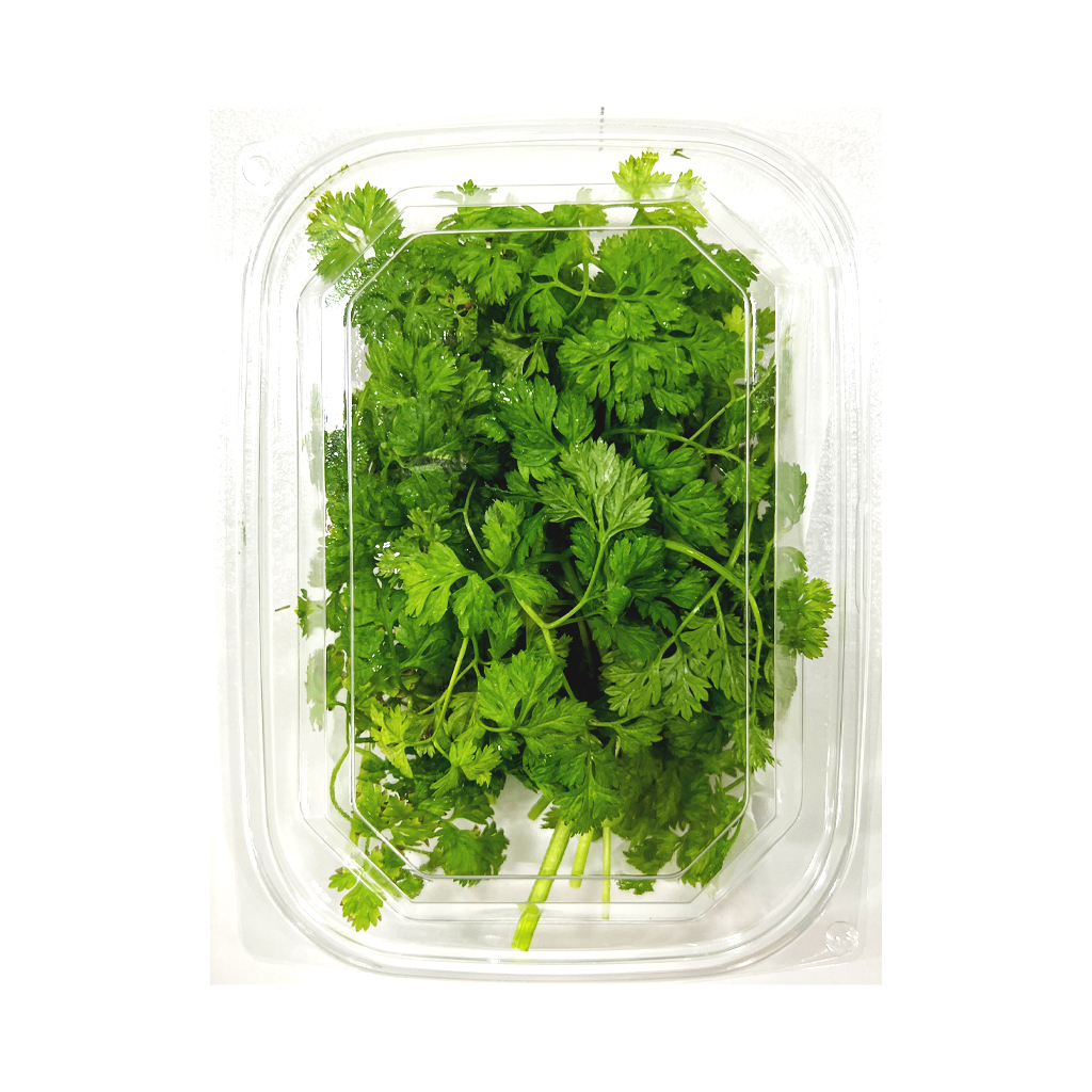 허브 처빌 10g [팩]