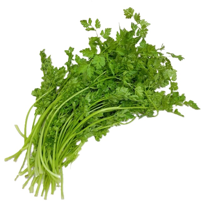 허브 처빌 100g[팩]