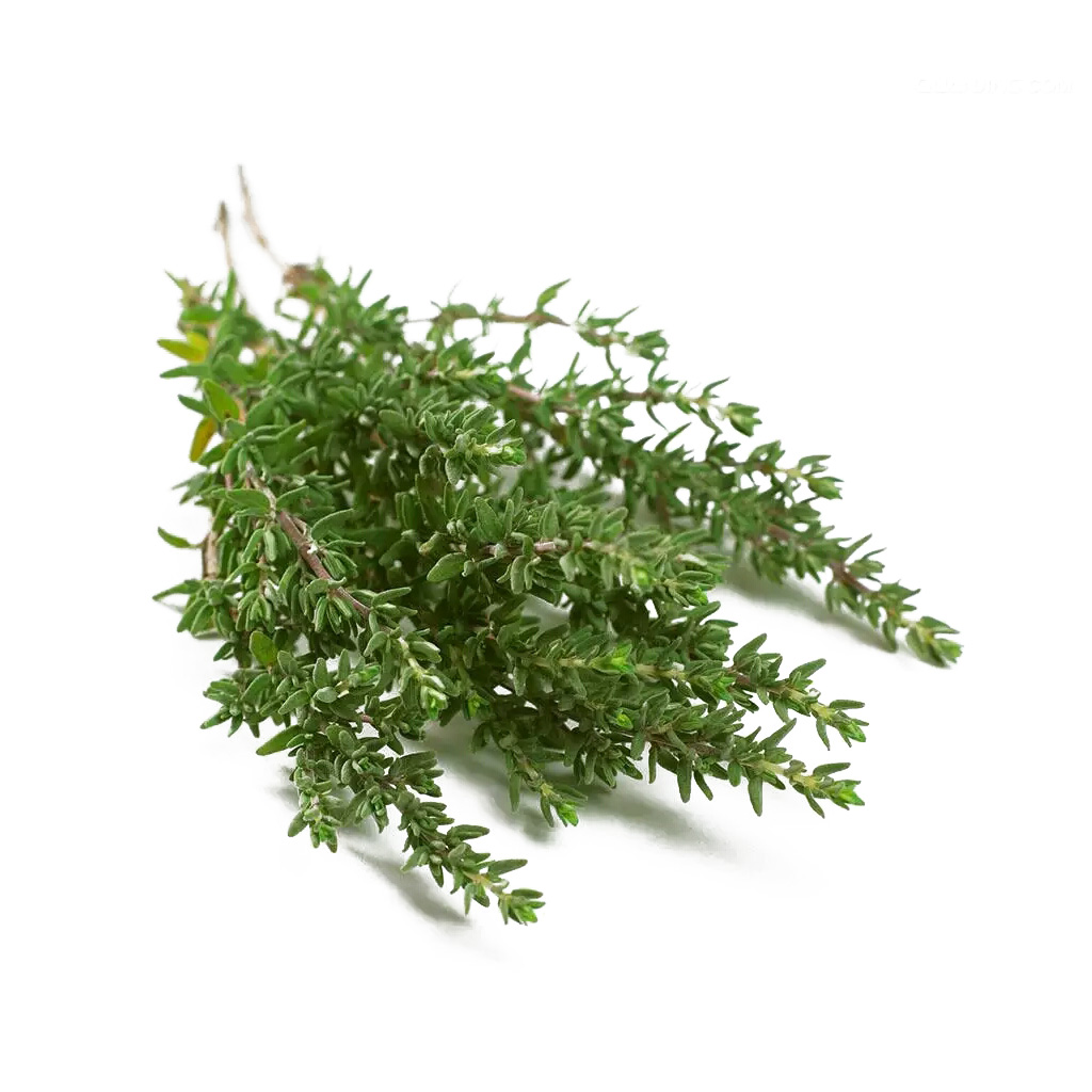 허브 타임 약 5g[팩]