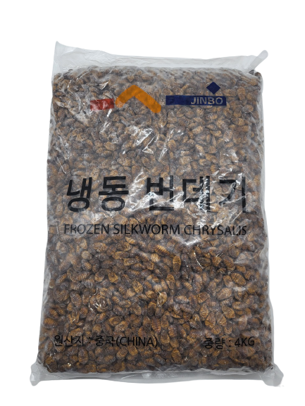 번데기 4kg