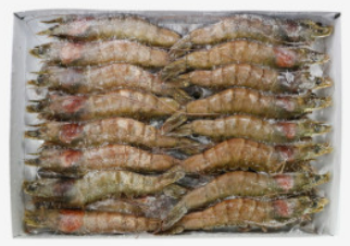 블랙타이거새우(20미/수입) 1.3kg