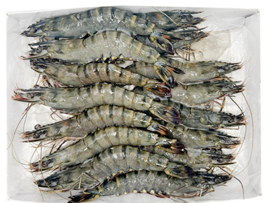 통새우(40미/중국) 500g