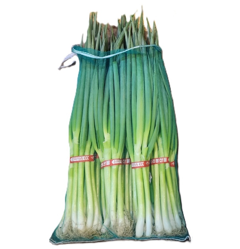 흙대파(중대) 10단[망]