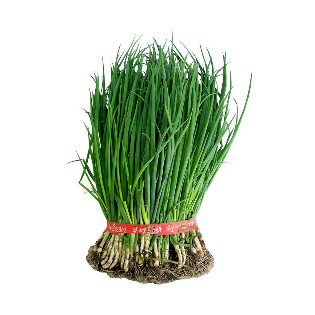 흙쪽파(큰단) 1kg[봉]