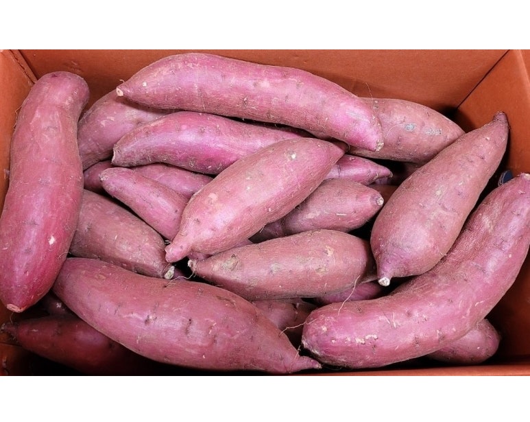 호박고구마(긴특) 10kg[BOX]