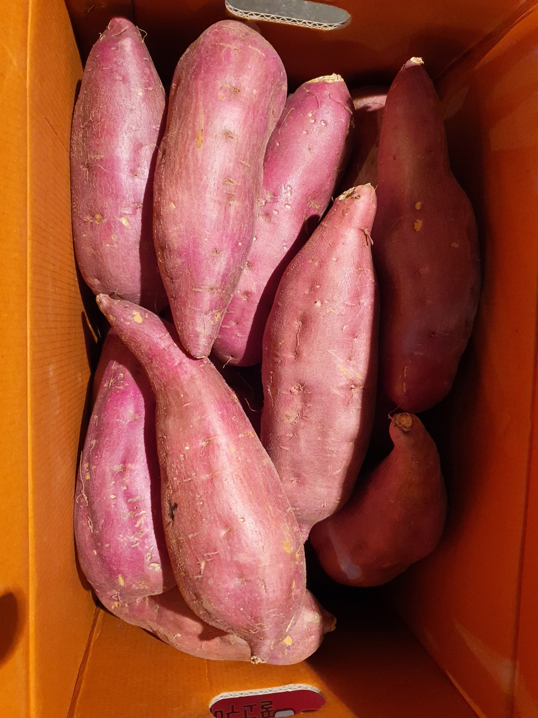 호박고구마(왕) 10kg[BOX]