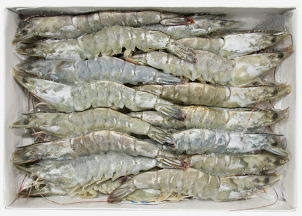 통새우(40~50/수입) 2kg