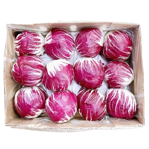 라디치오(수입) 12입[BOX]