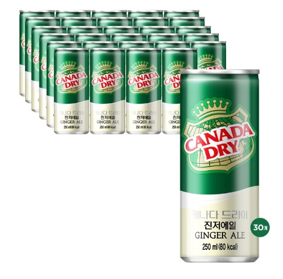 캐나다드라이 진저엘 250mL*30