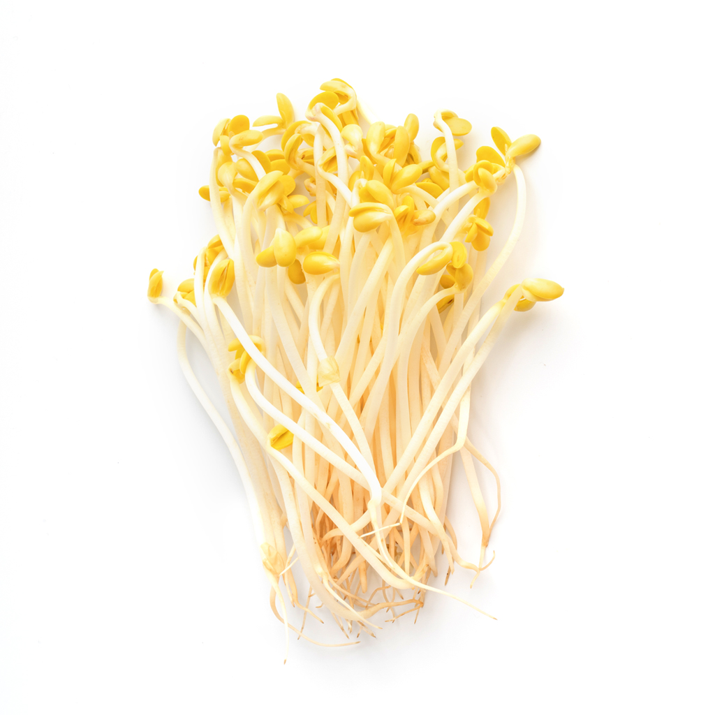 이동농장 일자 콩나물 3.5kg