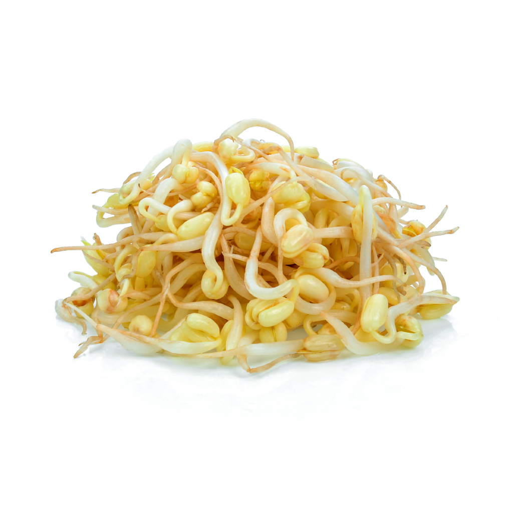 이동농장 곱슬이 콩나물 3.5kg