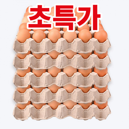 계란(대란/52g*30알) 1.56kg(5판)