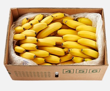바나나 6발[BOX]