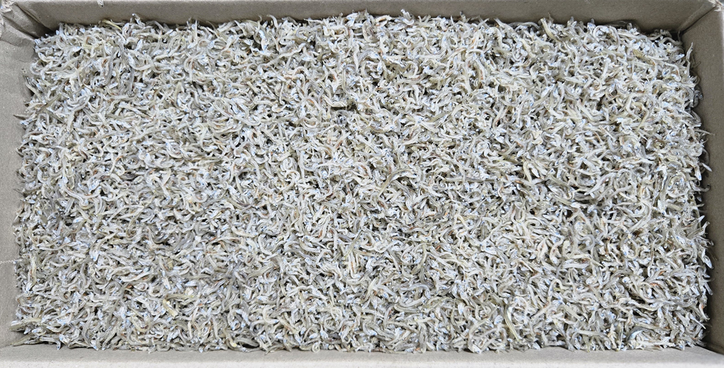 지리멸치(볶음용/A급/국내산) 1.5kg