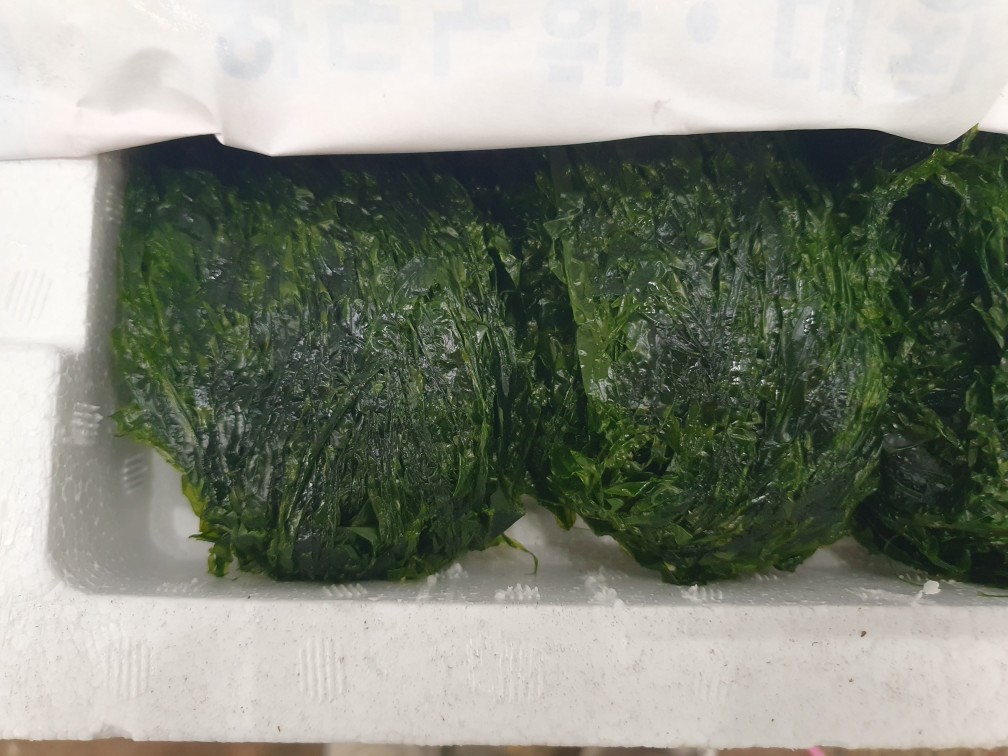 물파래1벌(약2kg) [BOX]