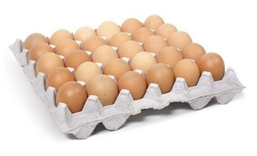 계란(대란/52g*30알) 1.56kg(1판)