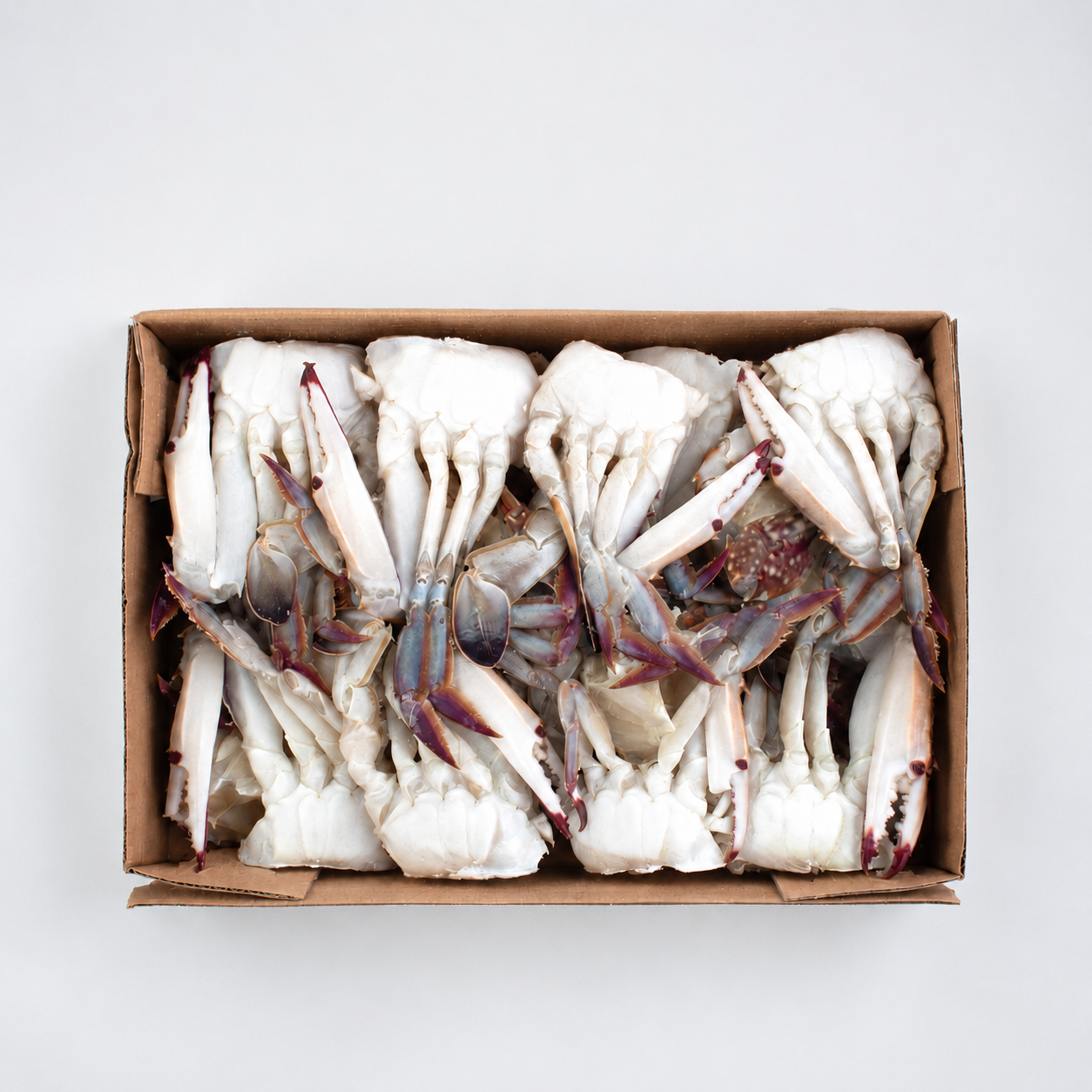 절단꽃게(L/중국) 450g