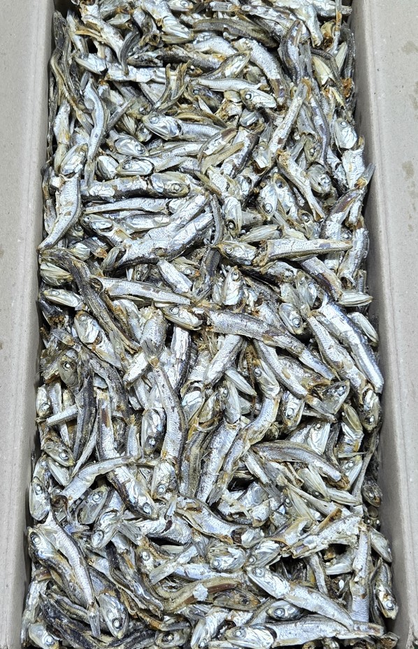 다시멸치(국물용/A급/국내산) 1.5kg