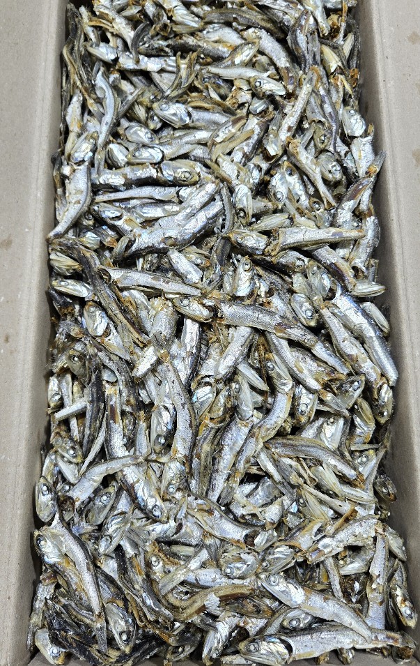 다시멸치(국물용/B급/국내산) 1.5kg