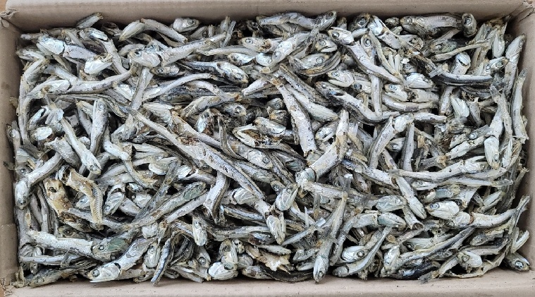 주바멸치(중멸/국내산) 1.5kg