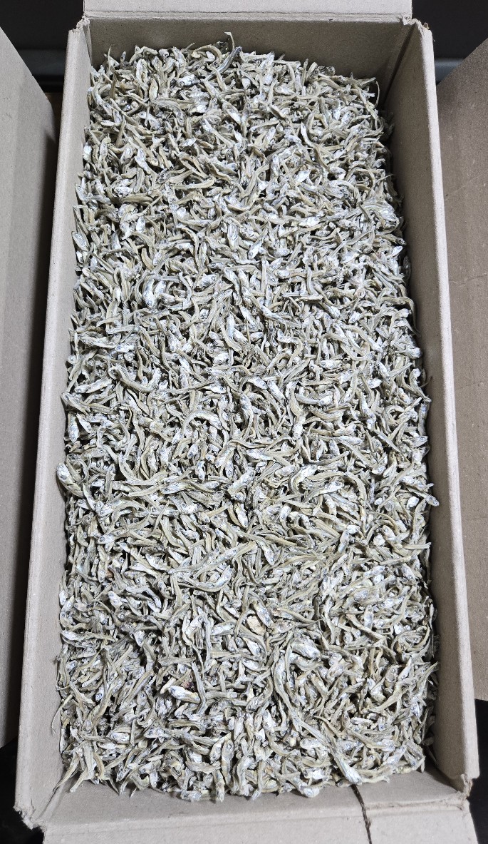 지가이리멸치(볶음용/국내산) 1.5kg