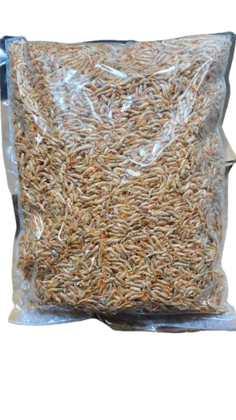 흰보리 건새우(중국산) 1kg