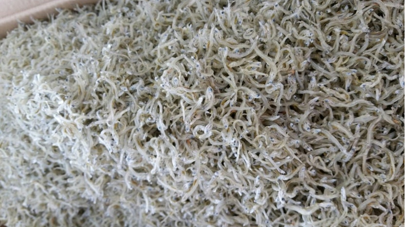 지리멸치(볶음용/B급/국내산) 1.5kg