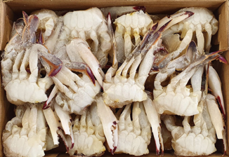 절단꽃게(S/중국/450g*12입) 5.4kg