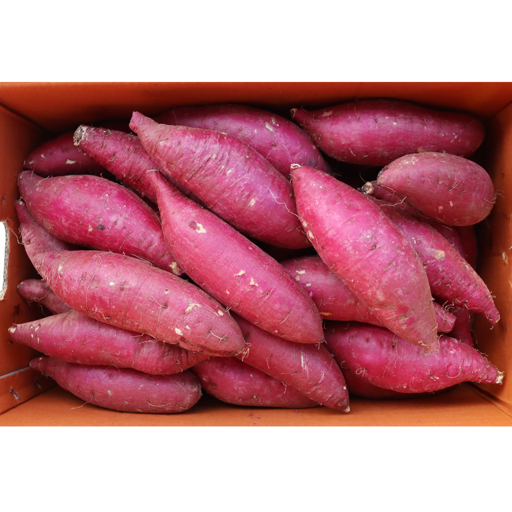고구마(호박.긴중) 10kg[BOX]