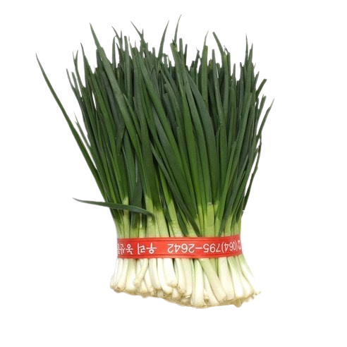 깐쪽파 1단(약1kg)[봉]