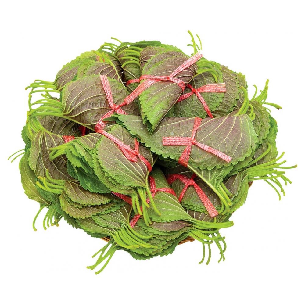 깻잎(100속) 2kg[BOX]