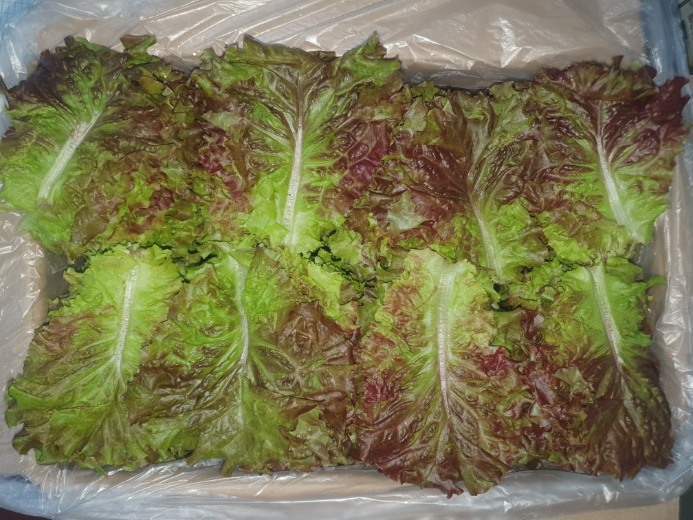 꽃상추(C) 4kg[BOX]