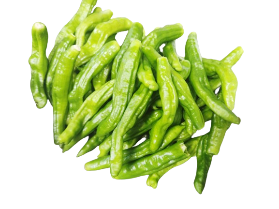 꽈리고추 약1kg[봉]