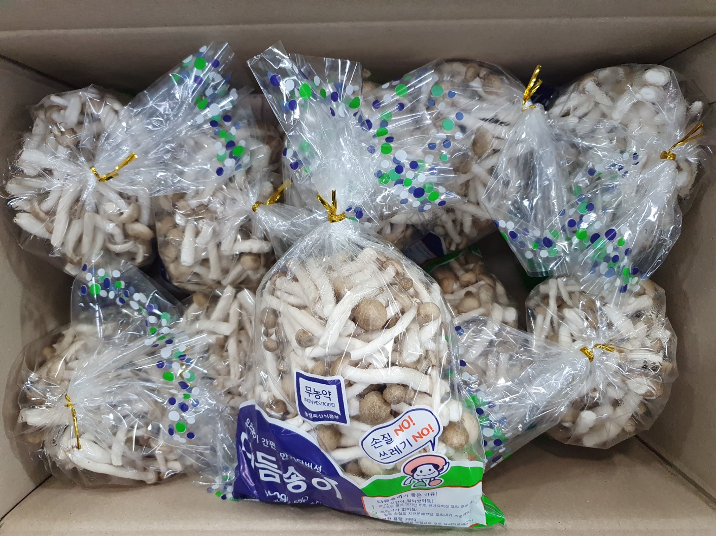 다듬송이 10입[BOX]